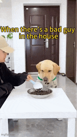 Acid GIFs, May 13 (25 gifs)