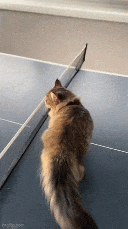 Acid GIFs, May 13 (25 gifs)