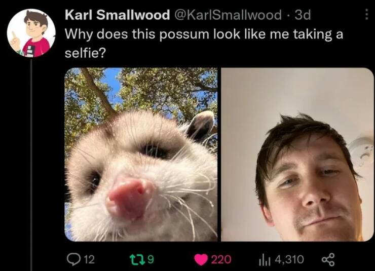 Daily Pictures. Part 1 (67 pics)