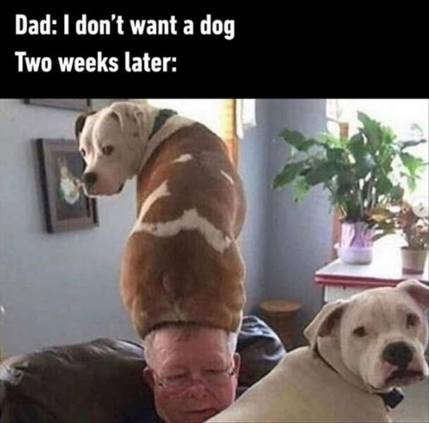 Daily Pictures. Part 2 (66 pics)