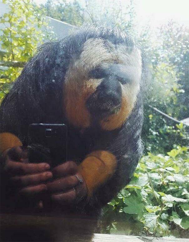 Daily Pictures. Part 2 (66 pics)