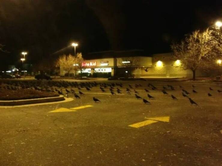 Creepy Photos (22 pics)