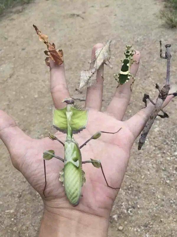 Creepy Photos (22 pics)
