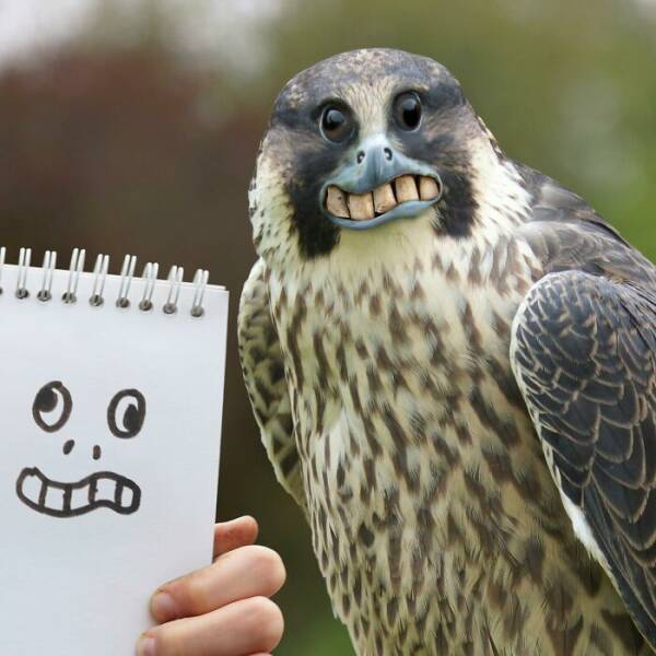 Childrens Drawings Brought To Reality (20 pics)