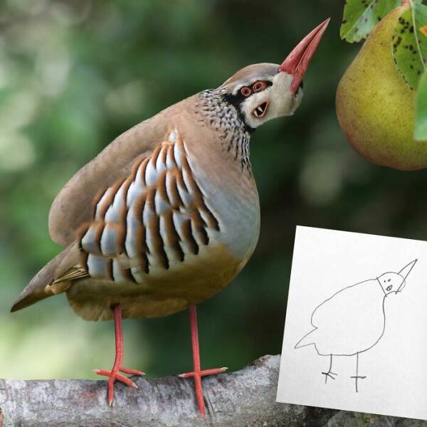 Childrens Drawings Brought To Reality (20 pics)