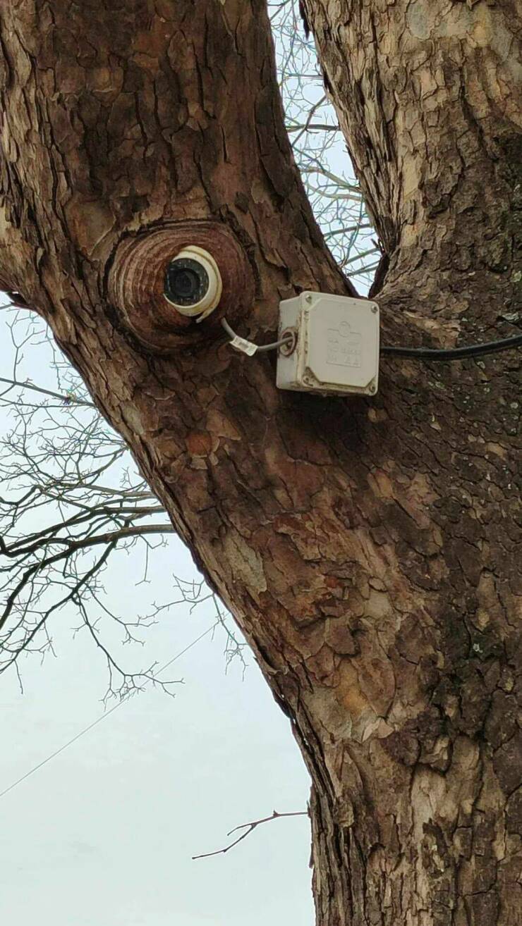 Daily Pictures. Part 2 (68 pics)
