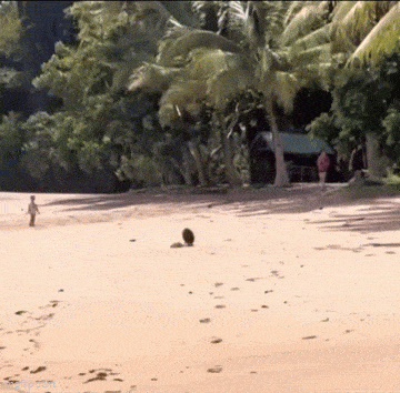 Acid GIFs, May 15 (25 gifs) Acid GIFs, May 15 (25 gifs)