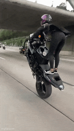 Acid GIFs, May 15 (25 gifs) Acid GIFs, May 15 (25 gifs)