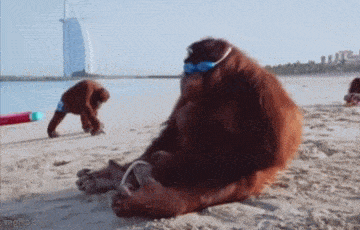 Acid GIFs, May 15 (25 gifs) Acid GIFs, May 15 (25 gifs)