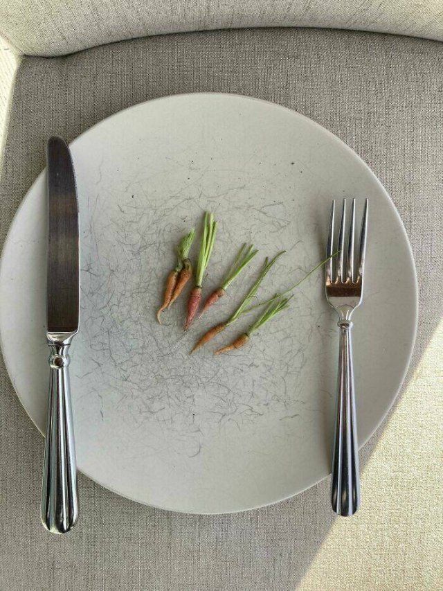 Unsuccessful But Funny Harvest (22 pics)