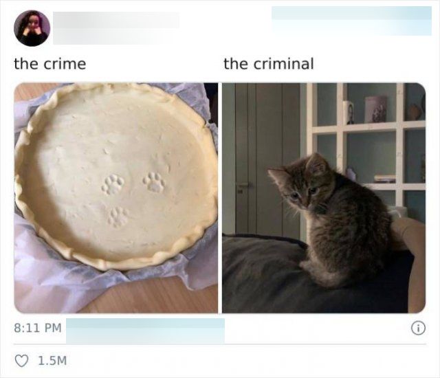 The Crime And The Criminal (17 pics)