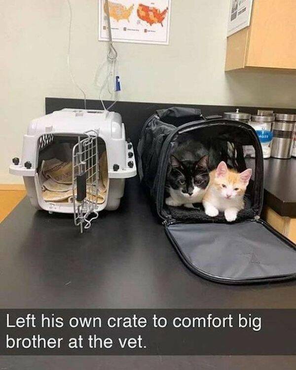 Daily Pictures. Part 2 (63 pics)