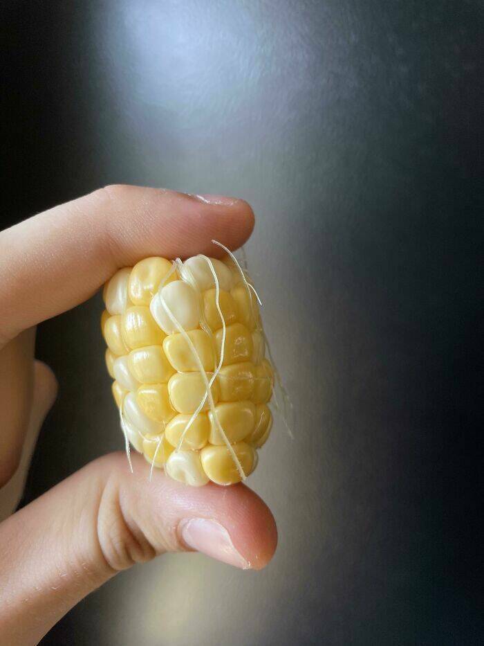 Miniature Harvest (20 pics)