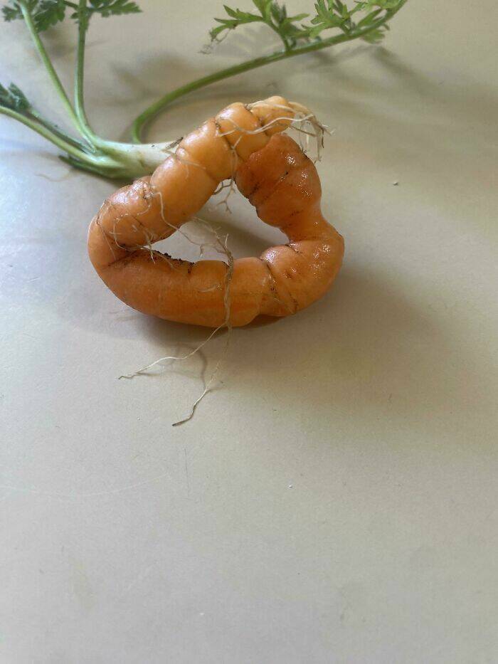 Miniature Harvest (20 pics)