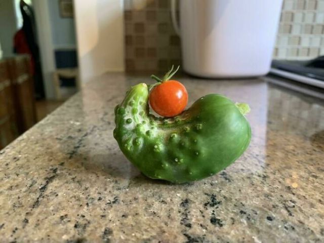 Miniature Harvest (20 pics)