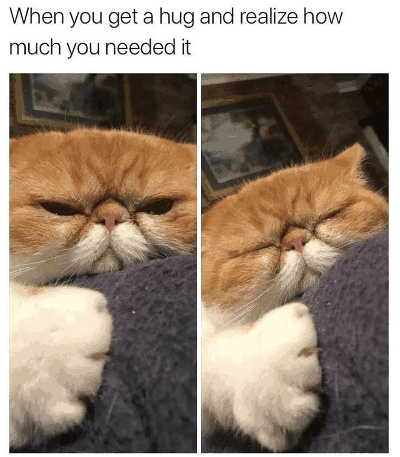 Daily Pictures. Part 2 (69 pics)