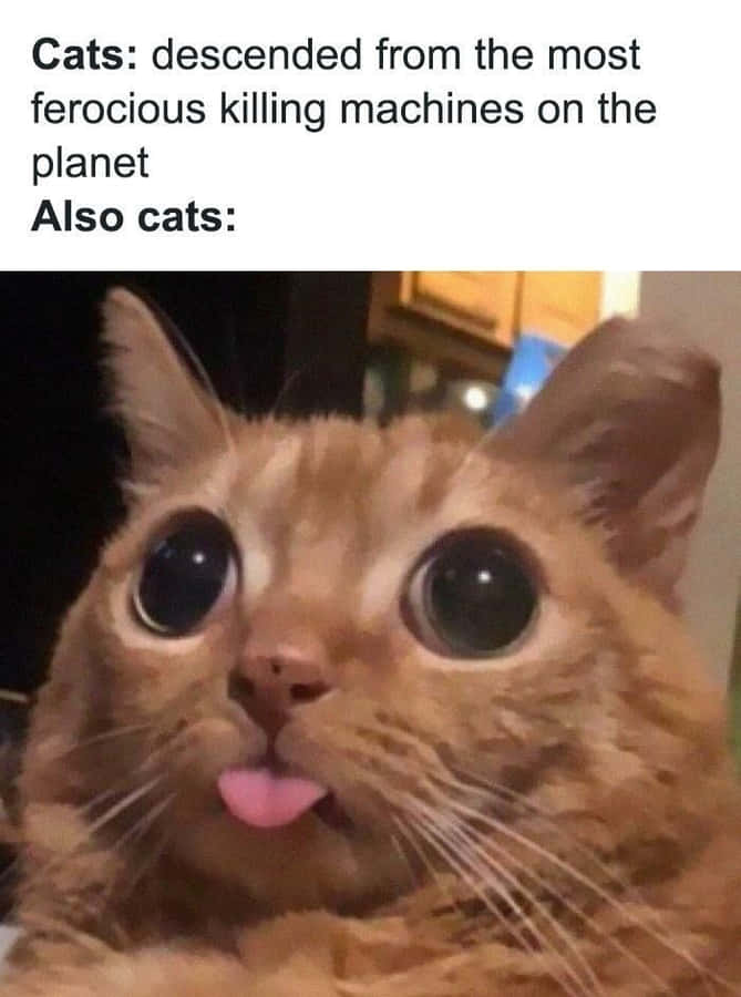 Daily Pictures. Part 2 (69 pics)