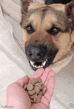 Acid GIFs, May 17 (25 gifs) Acid GIFs, May 17 (25 gifs)