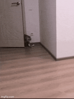 Acid GIFs, May 17 (25 gifs) Acid GIFs, May 17 (25 gifs)