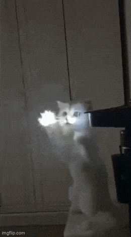 Acid GIFs, May 17 (25 gifs) Acid GIFs, May 17 (25 gifs)