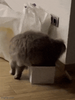 Acid GIFs, May 17 (25 gifs) Acid GIFs, May 17 (25 gifs)