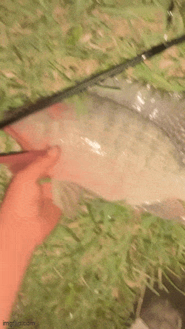 Acid GIFs, May 17 (25 gifs) Acid GIFs, May 17 (25 gifs)