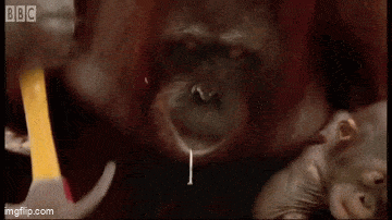 Acid GIFs, May 17 (25 gifs) Acid GIFs, May 17 (25 gifs)