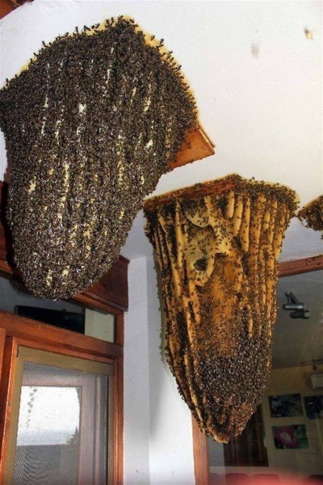 Creepy Photos (20 pics)