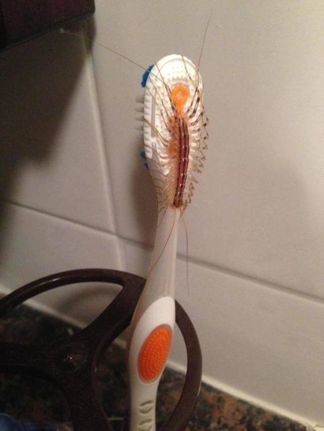 Creepy Photos (20 pics)