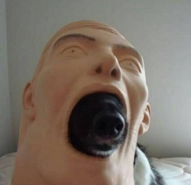 Creepy Photos (20 pics)