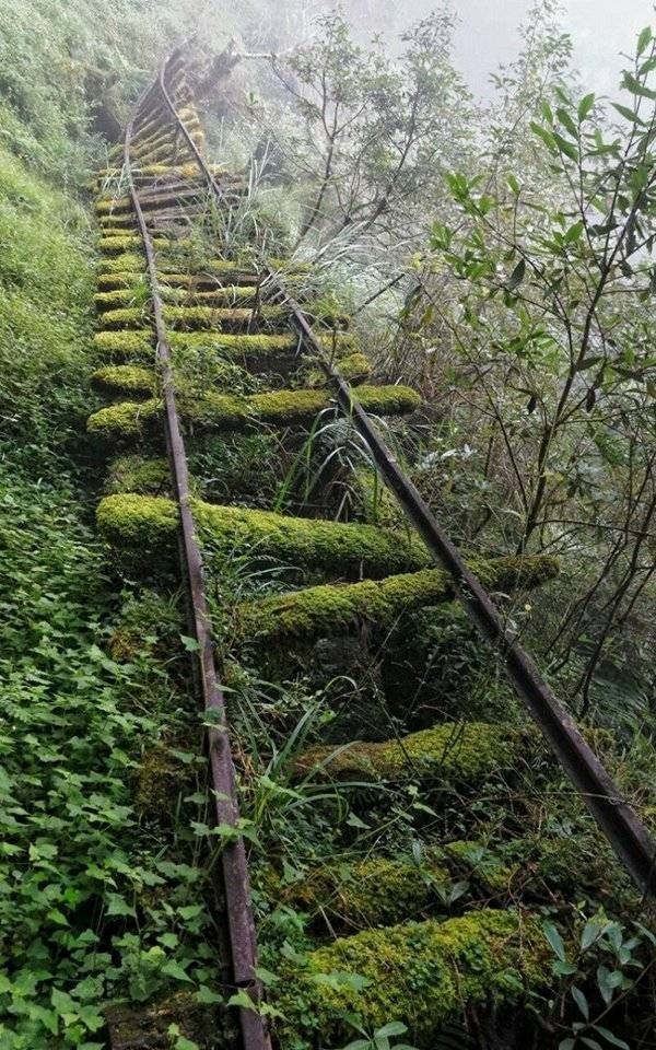 Beautiful Abandoned Places (20 pics)