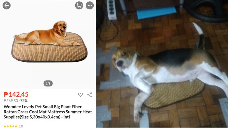 Expectations Against Reality (20 pics)