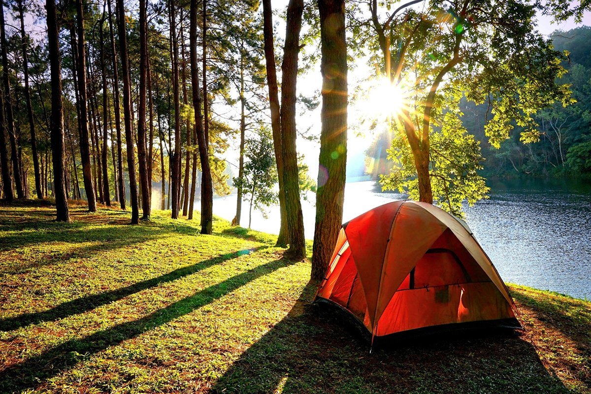 Cool Camping Photos (20 pics)