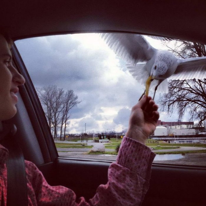Right Moment (20 pics)