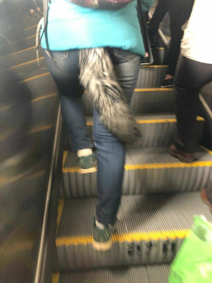 Daily Pictures. Part 1 (66 pics)