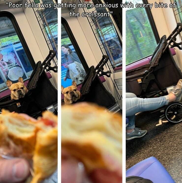 Daily Pictures. Part 2 (65 pics)