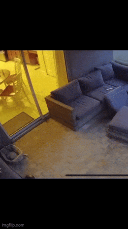 Acid GIFs, May 20 (25 gifs) Acid GIFs, May 20 (25 gifs)