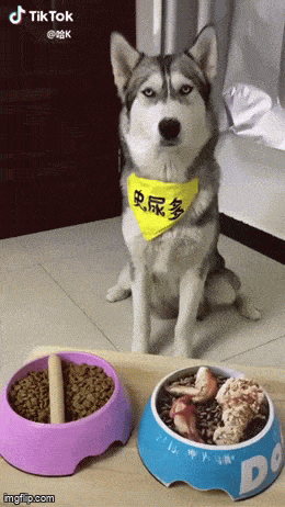 Acid GIFs, May 20 (25 gifs) Acid GIFs, May 20 (25 gifs)