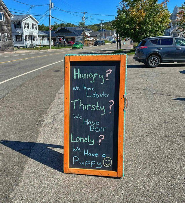 Creative Things In Bars And Restaurants (22 pics)