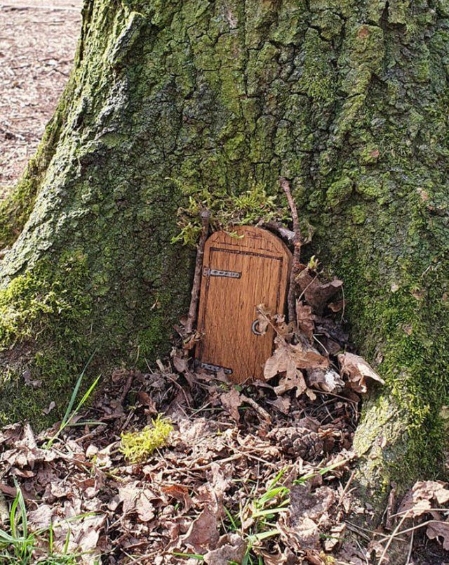 Unexpected Discoveries In Forests (20 pics)