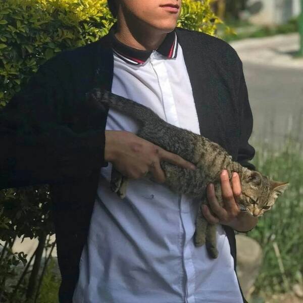 Daily Pictures. Part 1 (55 pics)