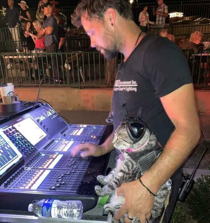 Daily Pictures. Part 2 (54 pics)