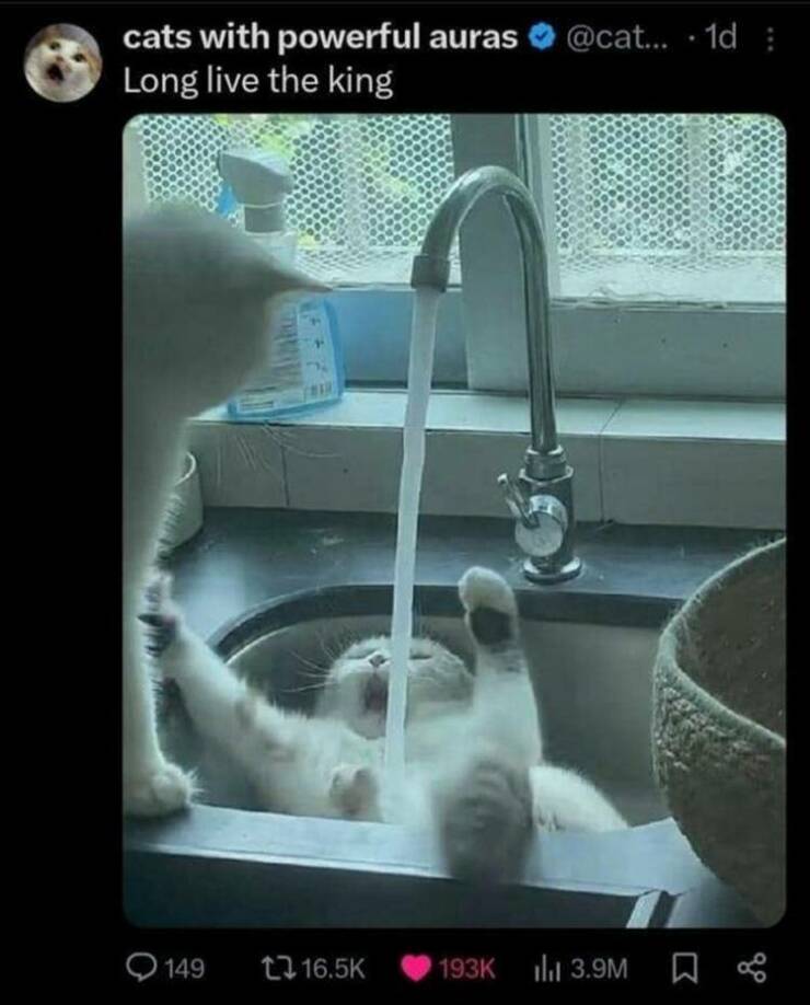 Daily Pictures. Part 2 (54 pics)