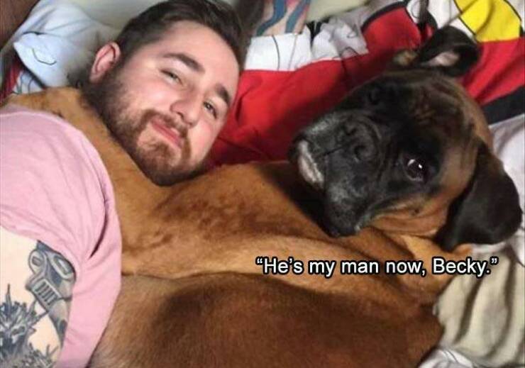 Daily Pictures. Part 2 (54 pics)