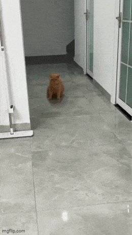 Acid GIFs, May 23 (25 gifs) Acid GIFs, May 23 (25 gifs)