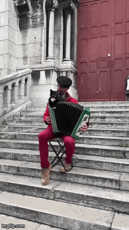 Acid GIFs, May 23 (25 gifs) Acid GIFs, May 23 (25 gifs)
