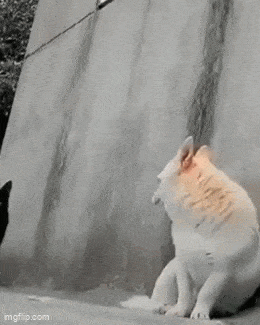 Acid GIFs, May 23 (25 gifs) Acid GIFs, May 23 (25 gifs)