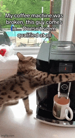 Acid GIFs, May 23 (25 gifs) Acid GIFs, May 23 (25 gifs)
