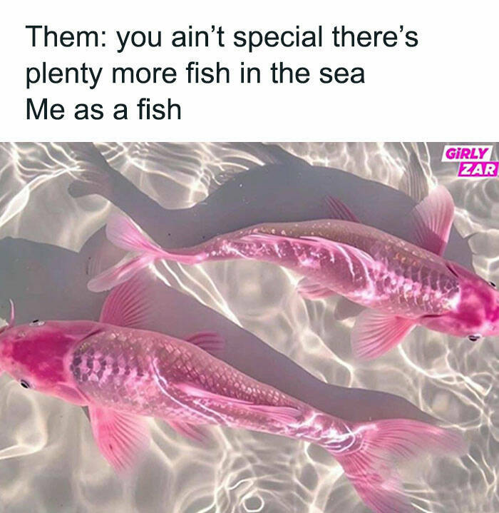 Random Memes (22 pics)