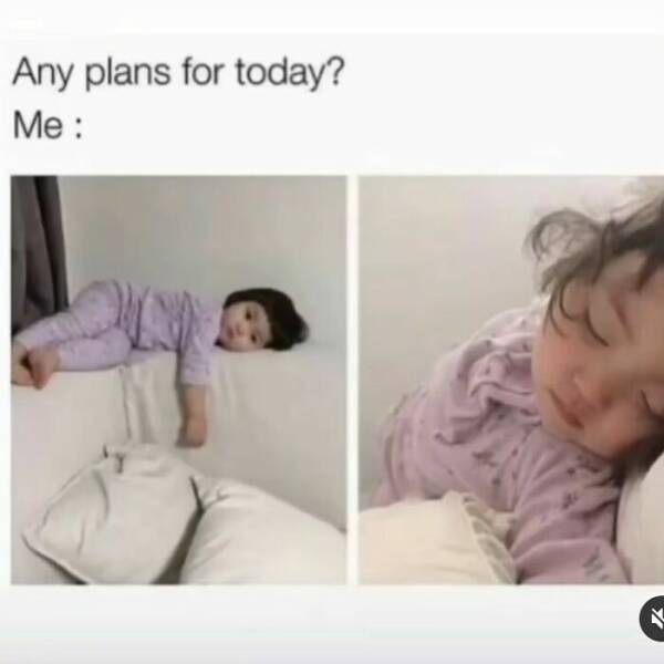 Random Memes (22 pics)